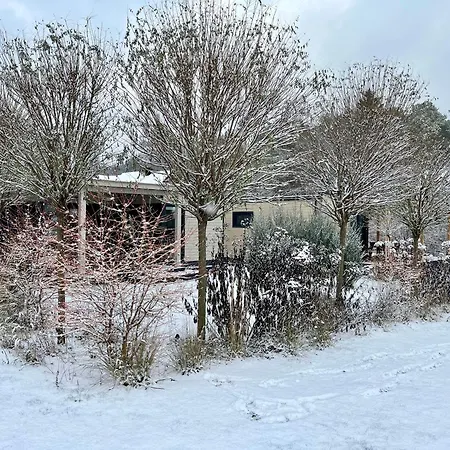 Tatil Evi Eden House Druskininkai